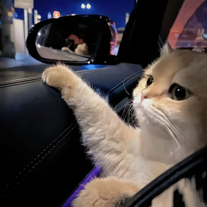 九九这里有精品
